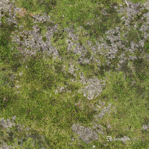 Turf ground texture