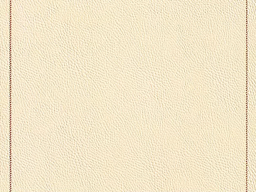 Leather-grain brick texture (ID:ffaag04814)