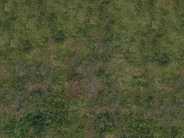 Turf texture (ID:ffach433381)