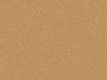 Coarse-grain leather texture (ID:ffach885474)