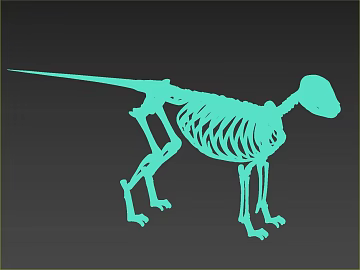 turquoise animal bones map texture (ID:ffaeh681664)