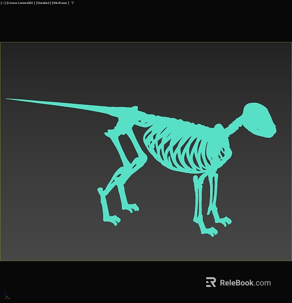 turquoise animal bones map texture