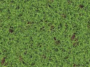 Realistic textured grassland, grassy slope, and green space—texture and grain. (ID:ffaeh045682)