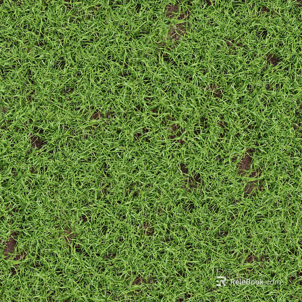 Realistic textured grassland, grassy slope, and green space—texture and grain. texture