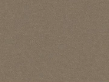 plain cloth 3d model