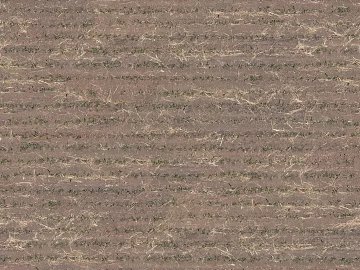 Mud ground texture (ID:ffaaf6362)