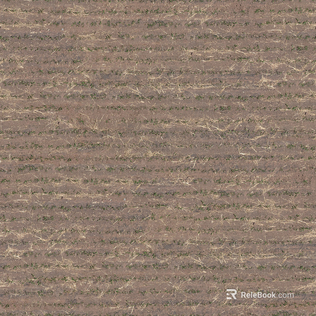 Mud ground texture