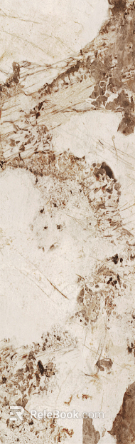 Marble texture