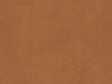 fine grain leather texture (ID:ffagg32312)