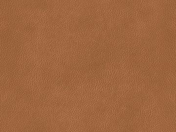 fine grain leather texture (ID:ffagg32312)