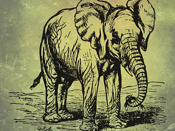 Animal painting texture (ID:ffaag37962)