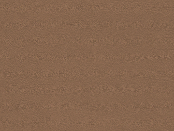 fine grain leather texture (ID:ffabg71847)