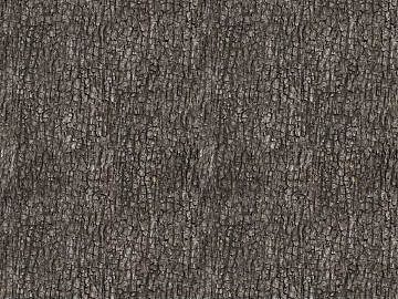 bark texture (ID:ffach506414)