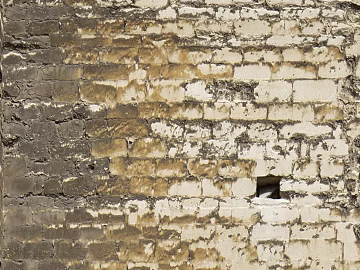 Brick wall 3d model