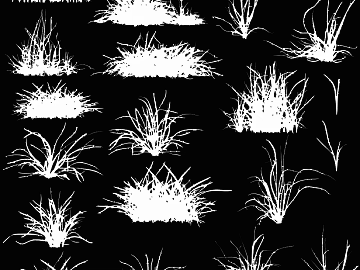 White Grass Plant Map texture (ID:ffaeh163086)