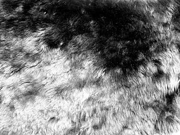 Grey black animal fur soft fabric 3d model