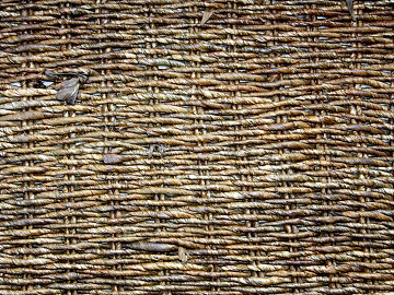Woven goods 3d model
