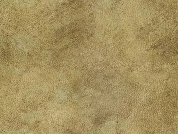 fine grain leather texture (ID:ffabg93262)