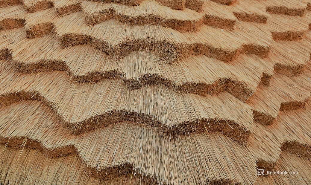 Thatched roof texture