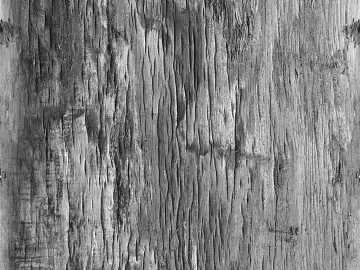 Black and White Bump texture (ID:ffaeg06935)