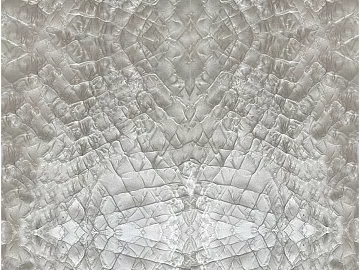 animal skin texture (ID:ffajg61813)