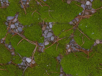 Green moss courtyard ground material texture (ID:ffaeh927266)