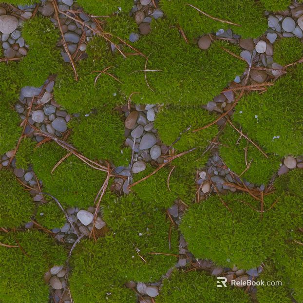 Green moss courtyard ground material texture