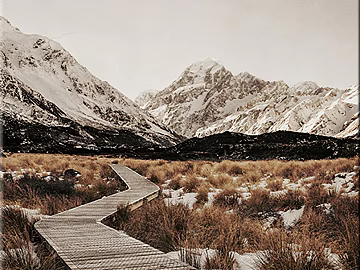 Wild Scenery texture (ID:ffajg78191)