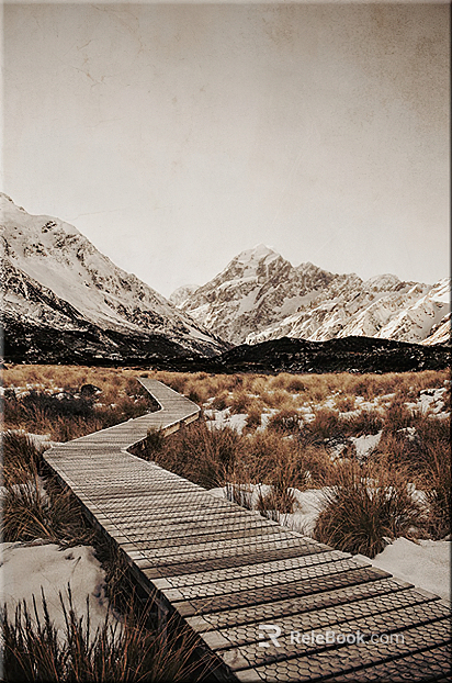 Wild Scenery texture