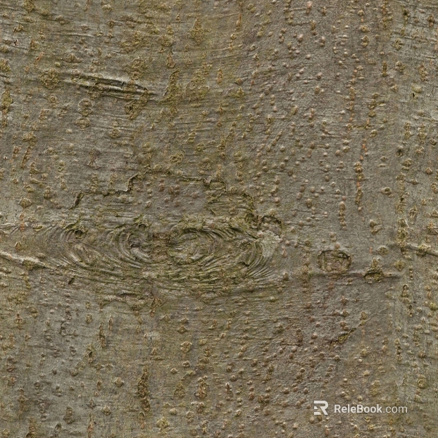 bark texture