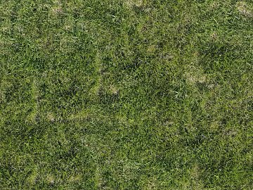 Turf texture (ID:ffach093416)
