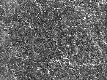 Black and White Bump texture (ID:ffajg12731)