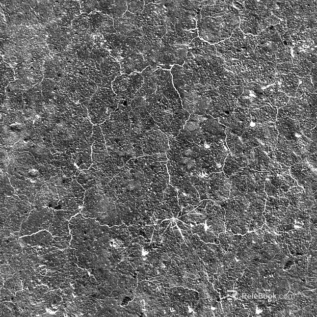 Black and White Bump texture