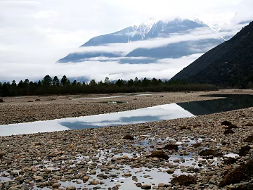 Wild Scenery texture (ID:ffaeg93490)