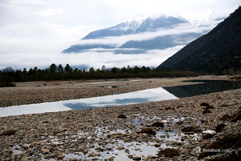 Wild Scenery texture