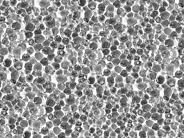 Black and White Bump texture (ID:ffacf3121)