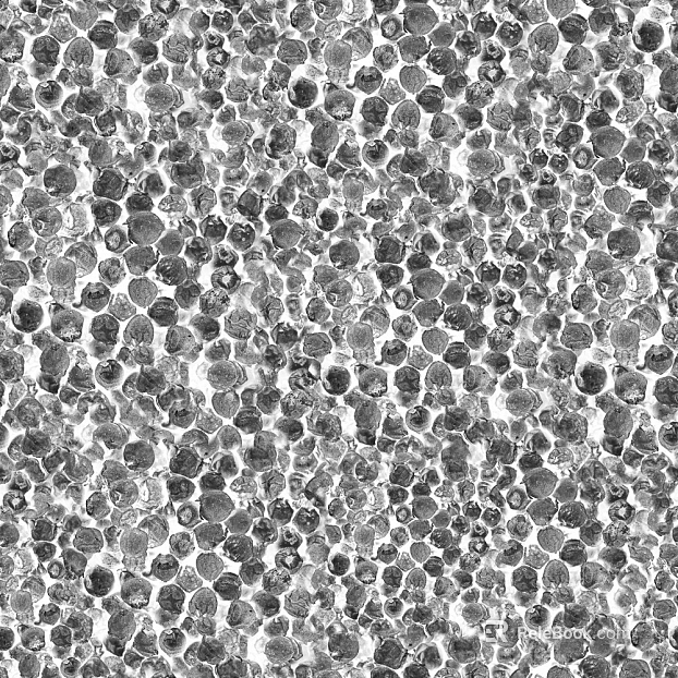 Black and White Bump texture