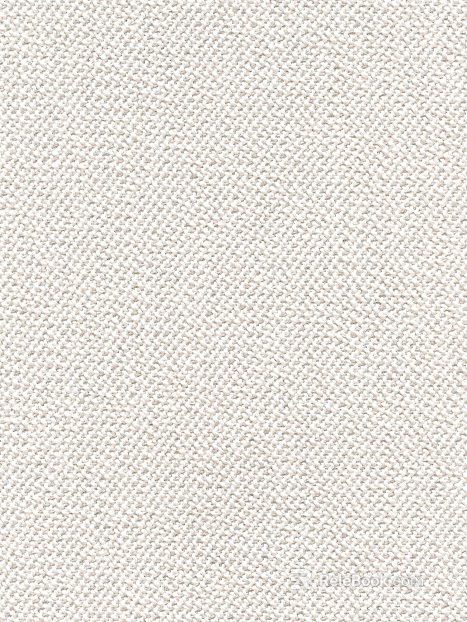 Coarse carpet texture