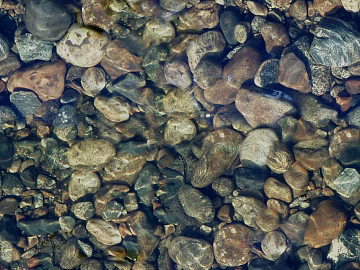 Pebbles texture (ID:ffaeg77644)