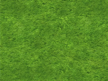 Turf texture (ID:ffaag67338)