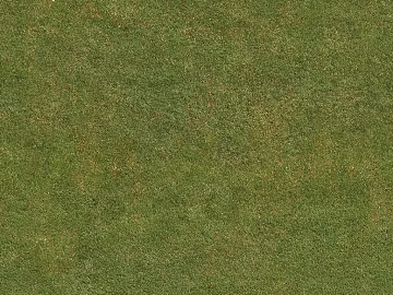 Turf texture (ID:ffacg75627)