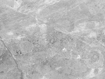 Mesh pattern marble silver lime stone plate texture (ID:ffacg90997)
