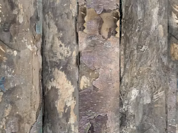 old wood texture (ID:ffabg39491)
