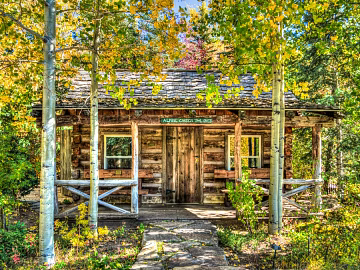 Natural cabin pictures texture (ID:ffach099984)