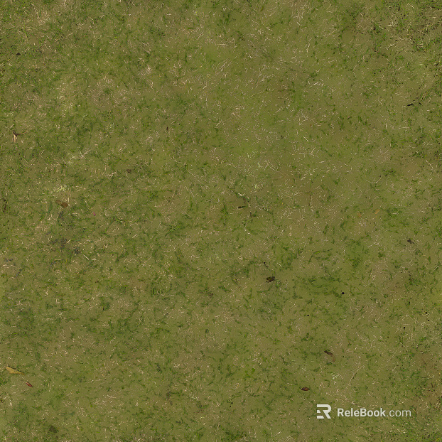 Turf texture