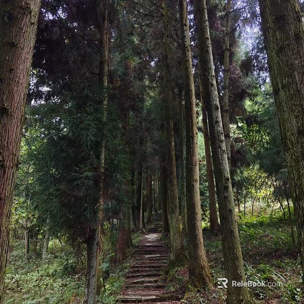 Natural Scenery texture