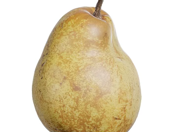 Pear PBR texture (ID:ffach216681)