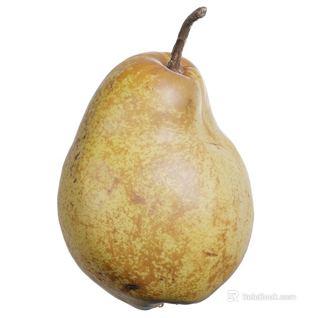 Pear PBR texture