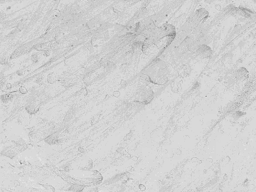 Light Gray Straight-Grain Marble Wall and Floor Tiles 3d model