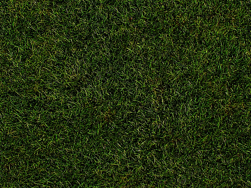 Turf texture (ID:ffacg23312)